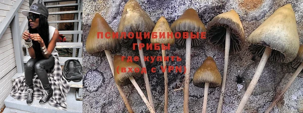 прущие крисы Балабаново