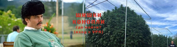 прущие крисы Балабаново