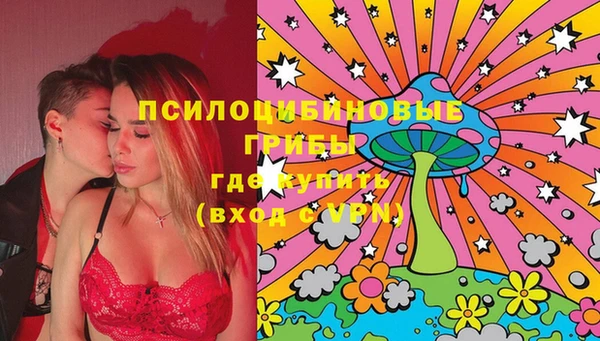 мяу мяу мука Баксан